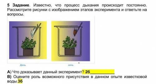 Известно, что процесс дыхания происходит постоянно. Рассмотрите рисунки с изображением этапов экспер