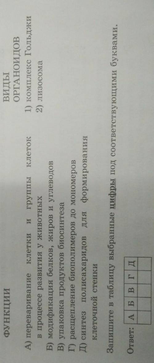 Уста­но­ви­те со­от­вет­ствие между функ­ци­ей ор­га­но­и­да клет­ки и ор­га­но­и­дом, вы­пол­ня­ю­щ