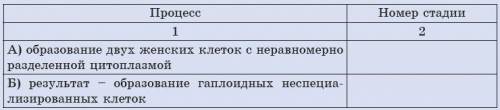 Заполните таблицу. Проанализируйте процессы, происходящие в различных зонах гаметогенеза, вставьте н