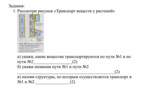 Задання: 1. Рассмотри рисунок «Транспорт веществ у растений» а) укажи, какие вещества транспортируют