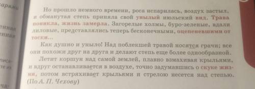 Выпишите литературные приемы, с которых автор описывает степь.