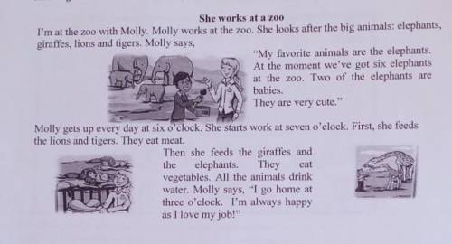 1. Where does Molly work? 2. What kind of animals does she look after?3. What is Molly's favorite an