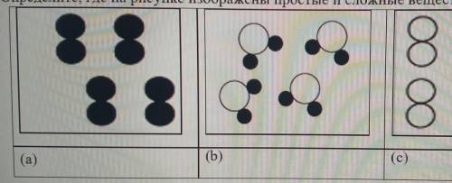 1. Определите, где на рисунке изображены простые и сложные вещества​