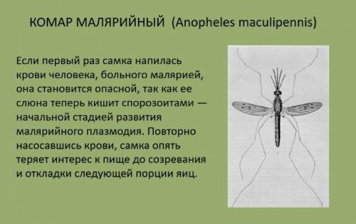 Составьте по презентации таблицу. Шапку и содержание таблицы придумать самостоятельно, таблицу запол