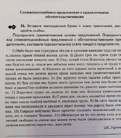 ВИД И СХЕМУ. Вставлять буквы не надо только вид и схему предложений Всех... ​Не пишите всякую фигню.