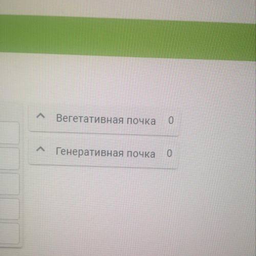 Вопрос Установите соответствие между особенностями почек растений и их видами.