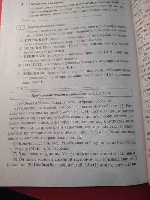 Написать сочинение-рассуждение, раскрывая смысл высказывания Р. И. Альбетковой: Всякий художественн