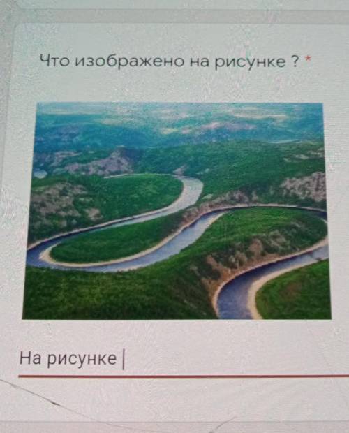 Что изображено на рисунке? ​