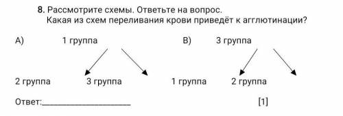 8. Рассмотрите схемы. ответьте на вопрос. Какая из схем переливания крови приведёт к агглютинации?​