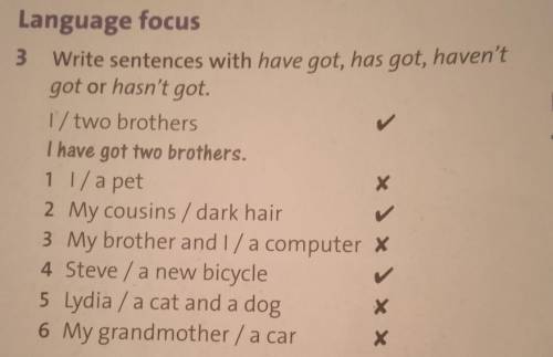 * Language focustask 3 Write sentences with have got, has got, haven'tgot or hasn't got.1/two brothe