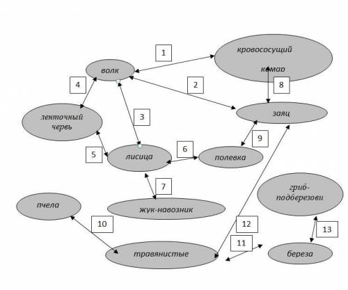 Напишите типы биотических отношений, обозначенных на схеме номерами.