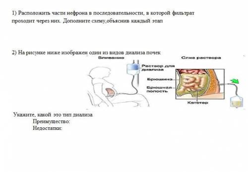 с биологией. Задания ниже на фото.