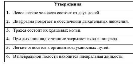 Определите истинные и ложные утверждения о дыхательной системе 1. Левое легкое человека состоит из д