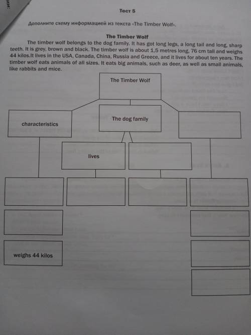 Дополните схему информацией из текста The Timber Wolf.