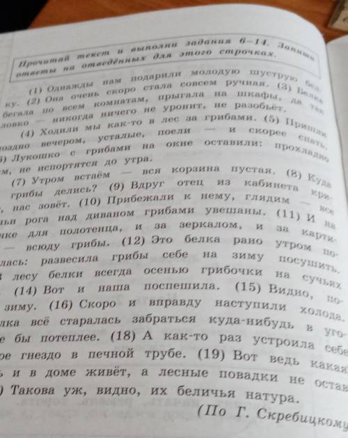 Составь и запиши план текста из трёх пунктов в ответе ты можешь использовать сочетания слов или пред