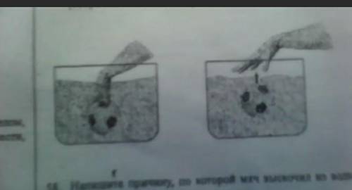 с физикой. Самир опустил в воду мяч массой 100г и придерживал его рукой.Как только он убрал руку,он