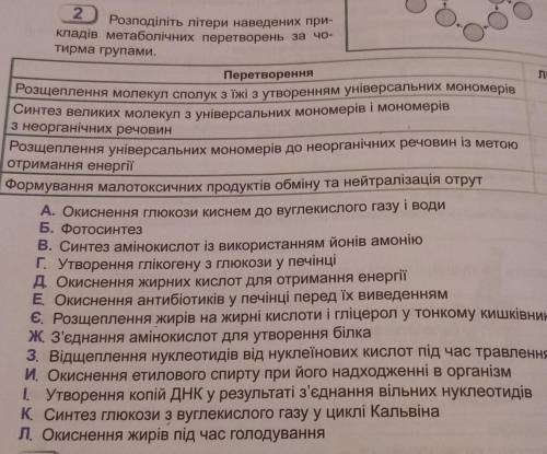 розподіліть літери наведених прикладів метаболічних перетворень за чотирма групами ​