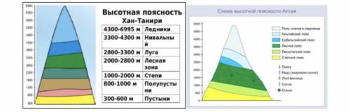 Сравните высотную поясность гор Хан-Танири и Алтая. Определите сходства и различия, Объясните причин