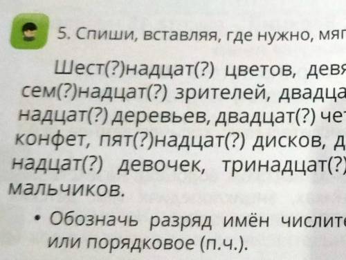 , . НKнадцат(?) деревьев, двадцат(?) четыре карандаша, тридцат(?)конфет, пят(?)надцат(?) дисков, две