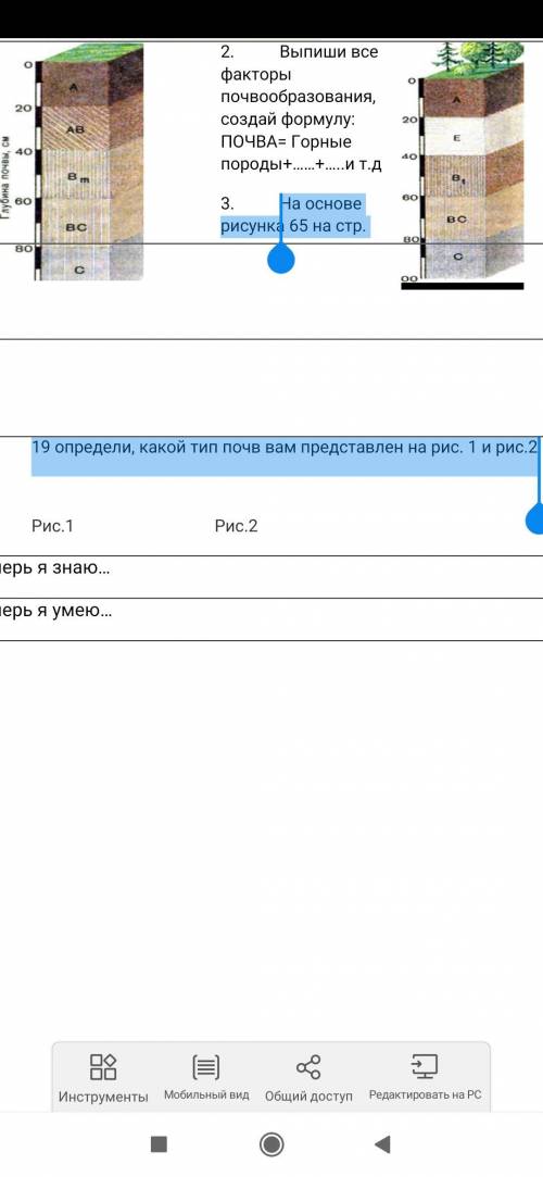 На основе рисунка 65 на стр. 19 определи, какой тип почв вам представлен на рис. 1 и рис.2