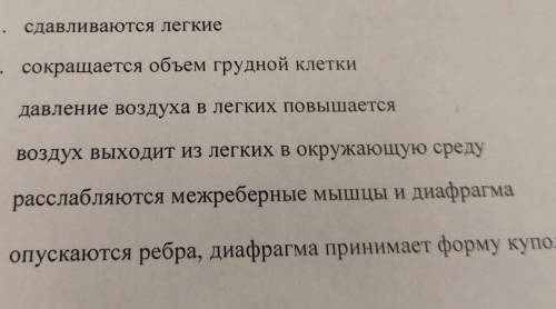 Установите последовательность процессов, составляющих механиз. выдоха​