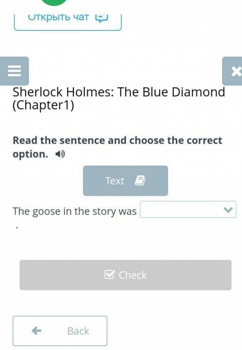 Sherlock Holmes: The Blue Diamond (Chapter1) Read the sentence and choose the correct option.TextThe