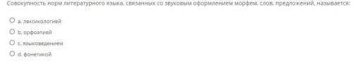 Совокупность норм литературного языка, связанных со звуковым оформлением морфем, слов, предложений,