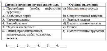 Установите соответствие между систематической группы животных и названия органов выделения