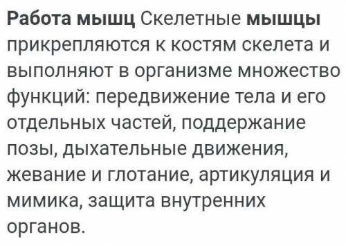 Конспект на тему Работа мышц. Управление движениями. Утомление.