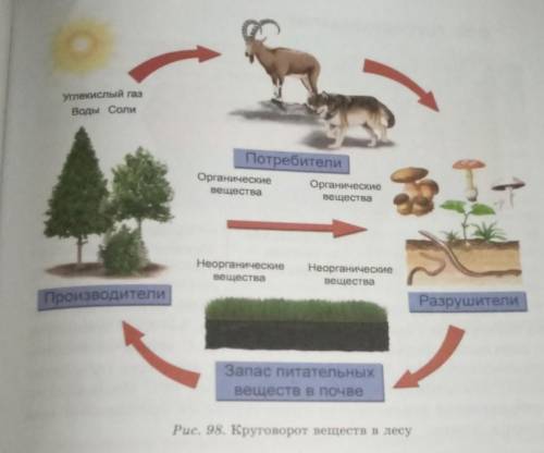Что означают стрелки на рисунке 98? Может ли прекратиться процесс круговорота веществ, например,воды