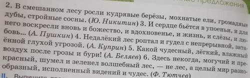 Подчеркните однородные члены предложения (2,3)