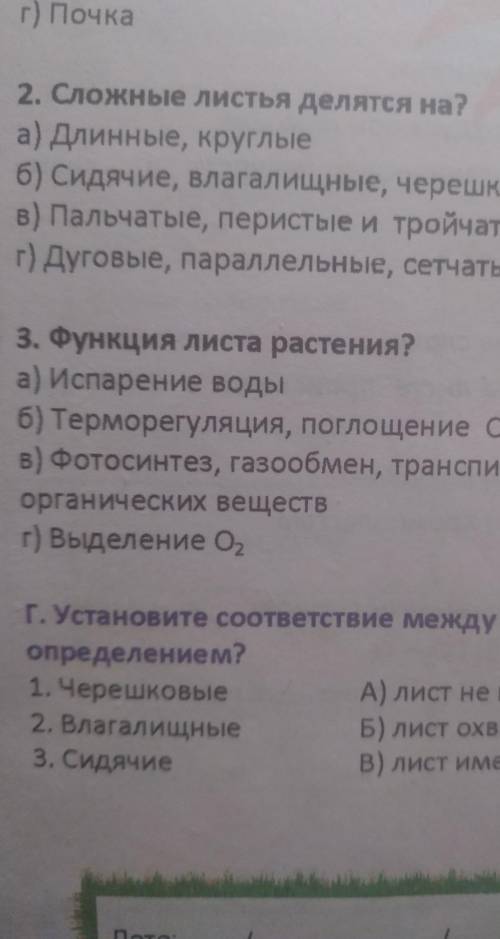 ответьте на 3 вопросы они с вариантами...​