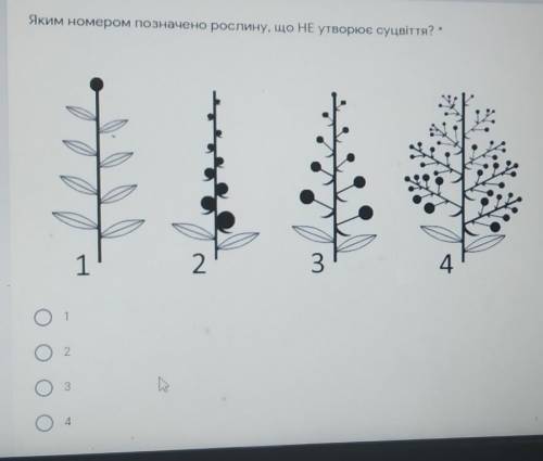 Яким номером позначено рослину, що НЕ утворює суцвіття? * 43211.w234​