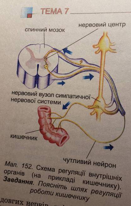 1.Треба порівняти дуги 2. Зробити висновок 1.Нужно сравнить дуги 2. Сделать вывод