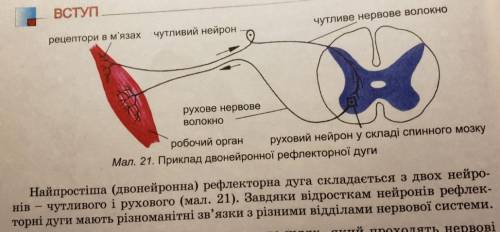 1.Треба порівняти дуги 2. Зробити висновок 1.Нужно сравнить дуги 2. Сделать вывод