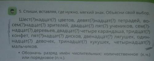 ОБОЗНАЧЬ РАЗРЯД ИМЁН ЧИСЛИТЕЛЬНЫХ: КОЛИЧЕСТВЕННОЕ (К.Ч.) И ПОРЯДКОВОЕ (П.Ч)​