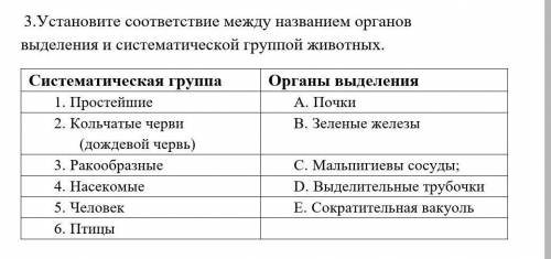 Установите соответствие между названием органов выделения и систематической группой животных. Систем