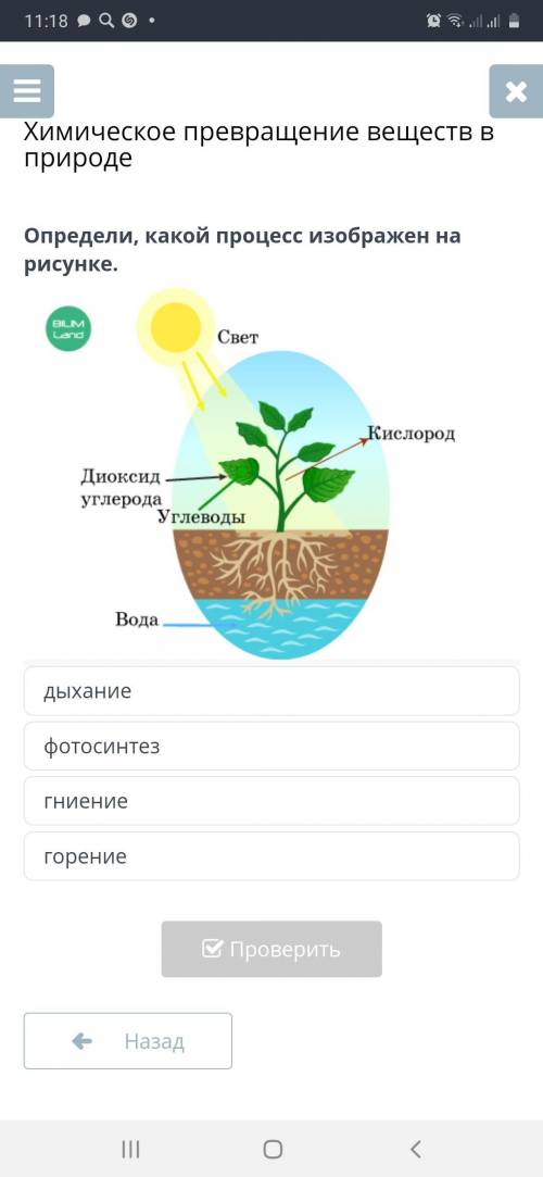 Определи, какой процесс изображен на рисунке.