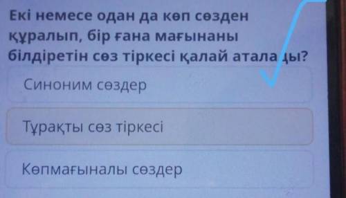 Екі немесе одан да көп сөзден құралып, бір ғана мағынаныбілдіретін сөз тіркесі қалай аталады?Синоним