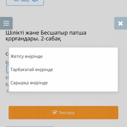 Бесшатыр патша қорғандары- Жетісу өңірінде , Тарбағатай өңірінде , Сарырқа өңірінде