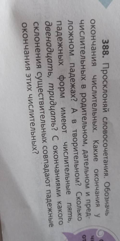 русский 388. Просклоняй словосочетания. Обозначь окончания числительных. Какие окончания у числитель