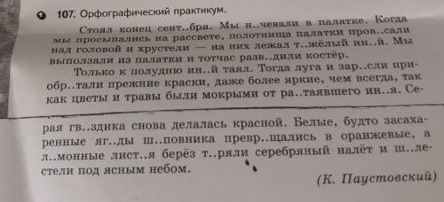 Поже напишите какие буквы вставлять надо на картинке​