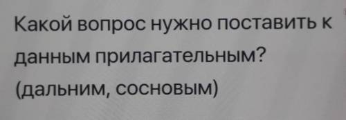 Какой вопрос нужно поставить кданным прилагательным?(дальним, сосновым)Ссо​