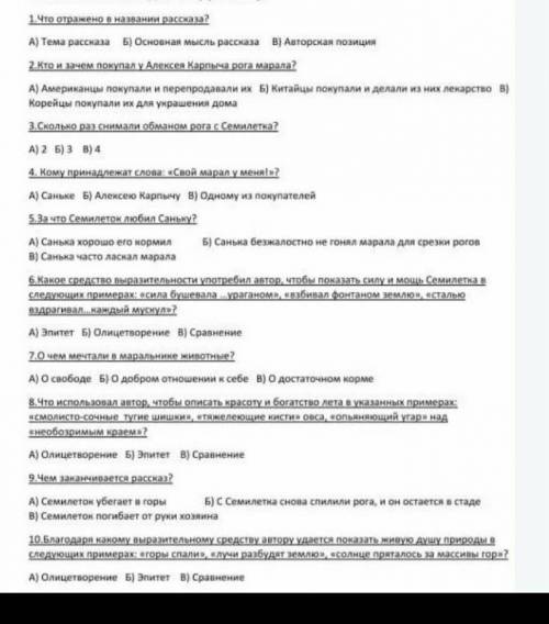 Санький марал тест надо поставил ​