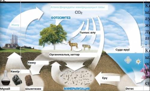 Суреттер бойынша сұрақтарға жауап бер. көрсетеді - Көмірқышқ ыл газының ауаға түсу жолдарын дұрыс ан