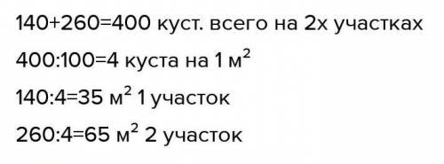 ДОМАШНЕЕ ЗАДАНИЕ 10 Реши задачу.На двух участках общей площадью 100 м2 весной высадилирассаду помидо