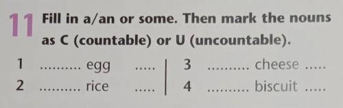 Fill in a/an or some. Then mark the nouns as C (countable) or U (uncountable) 1. ... egg ... 2. ...