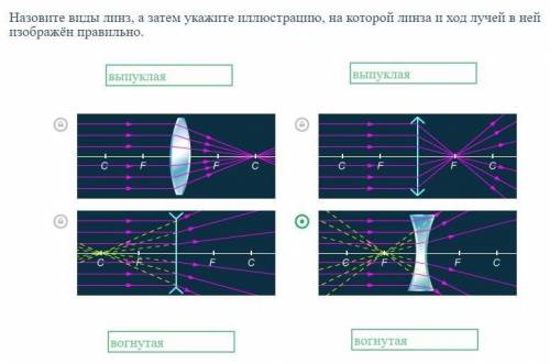 Назовите виды линз, а затем укажите иллюстрацию, на которой линза и ход лучей в ней изображён правил