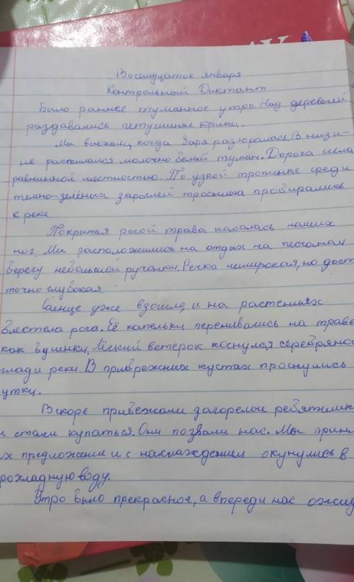 Выписать из диктанта прилагательные и распределить их по разрядам : В 1 -й столбик :качественные Во