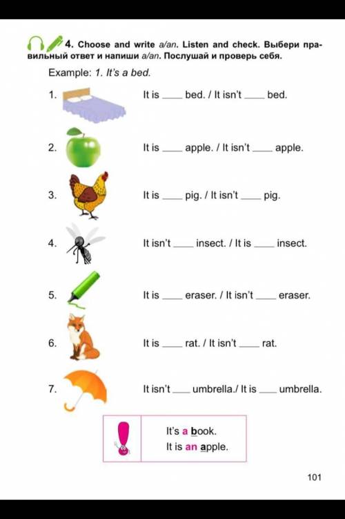 Выбери правельный ответ и напиши а/an.​